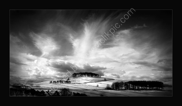 The Copse